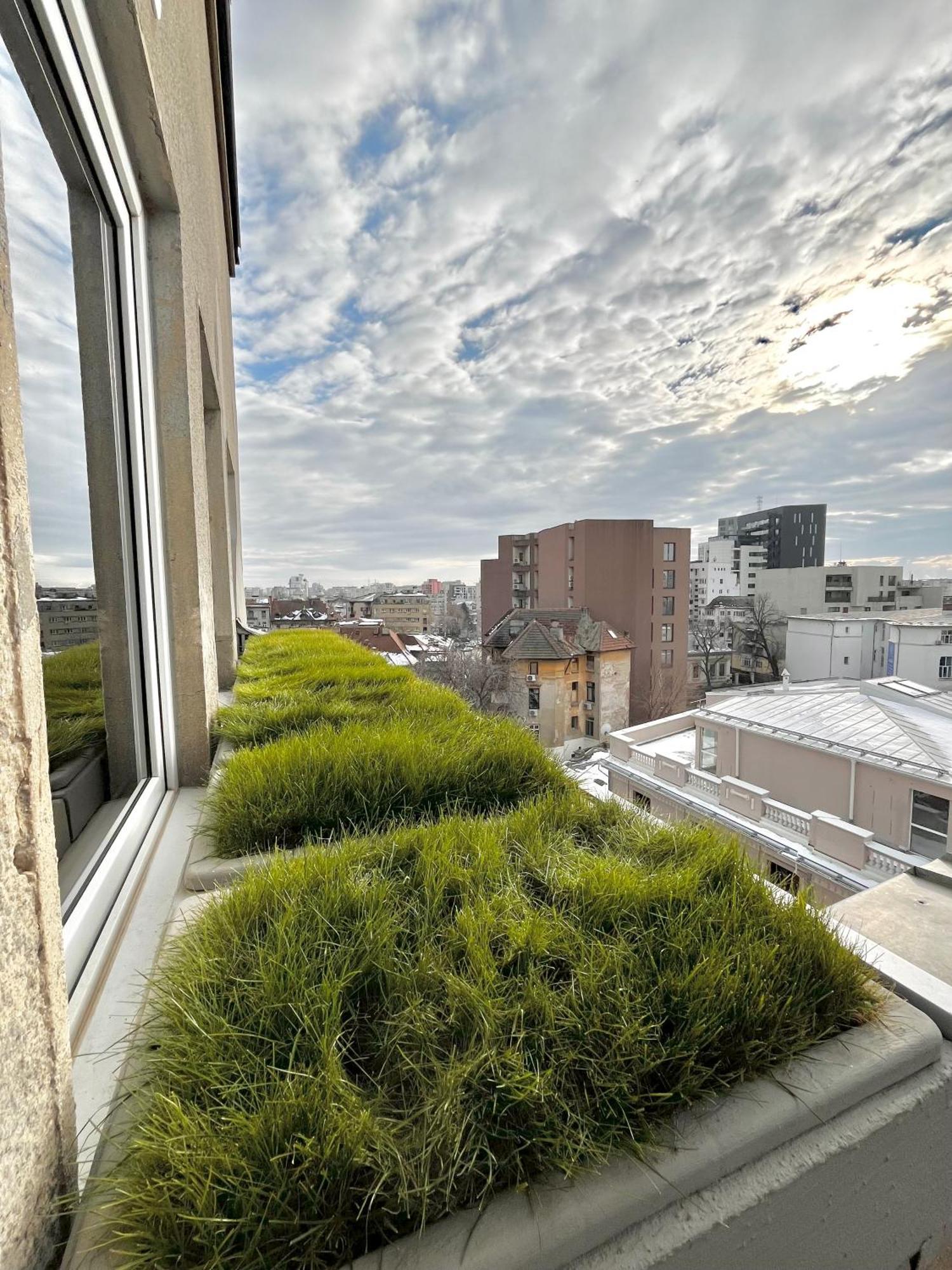 Terrace View Downtown Studio Bucureşti Exterior foto